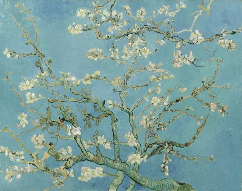 Vincent Van Gogh, Amandier en fleur