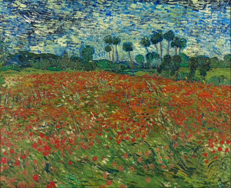 Vincent van Gogh, Champ de coquelicots