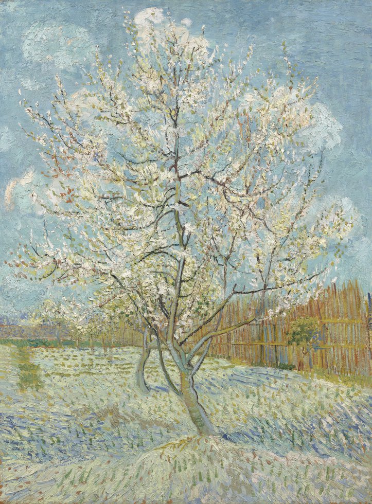 Vincent van Gogh, Le Pécher rose en fleurs