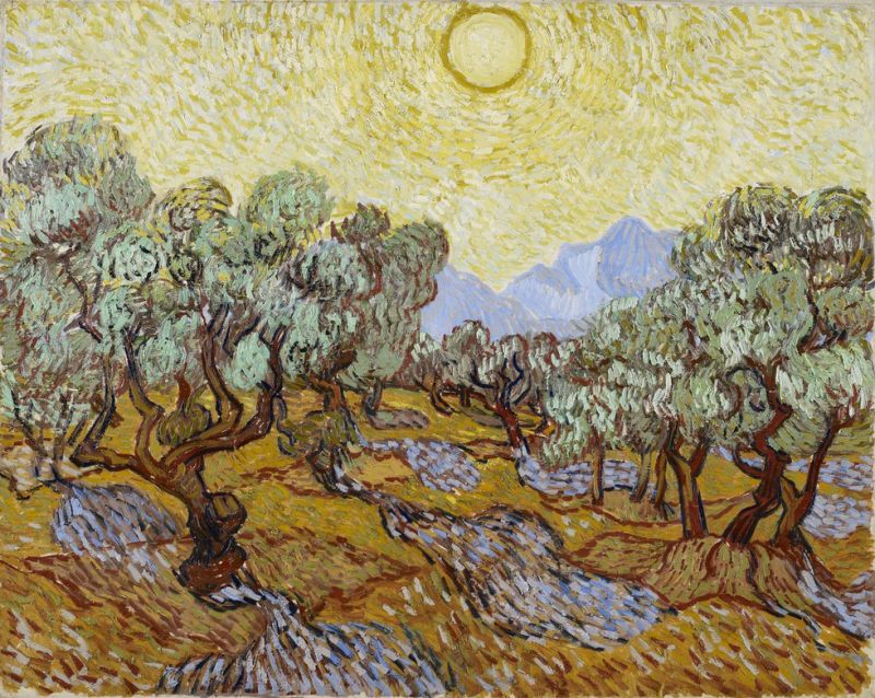 Vincent van Gogh, Les oliviers - 1889