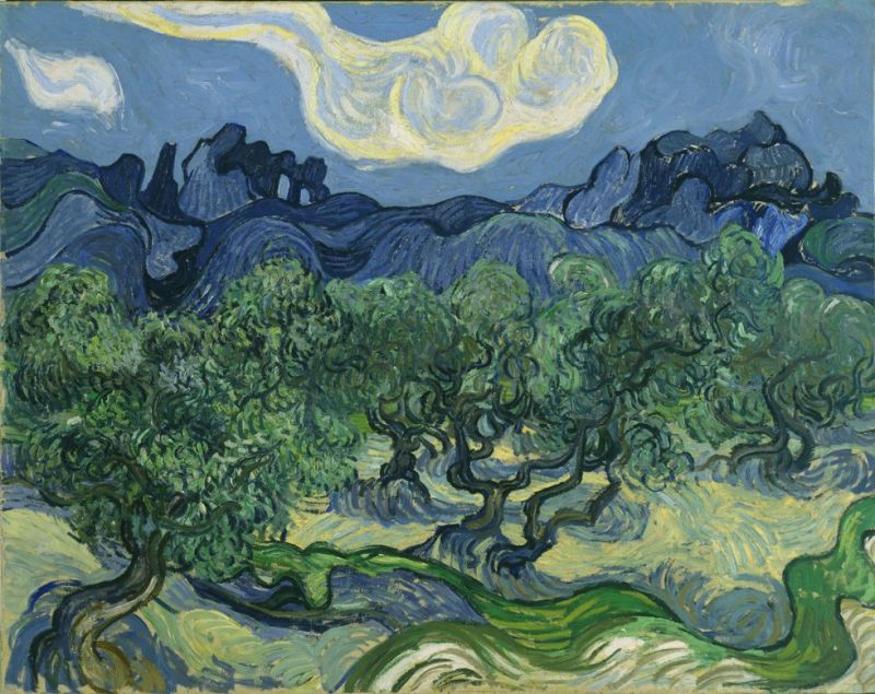 Vincent van Gogh, Oliviers